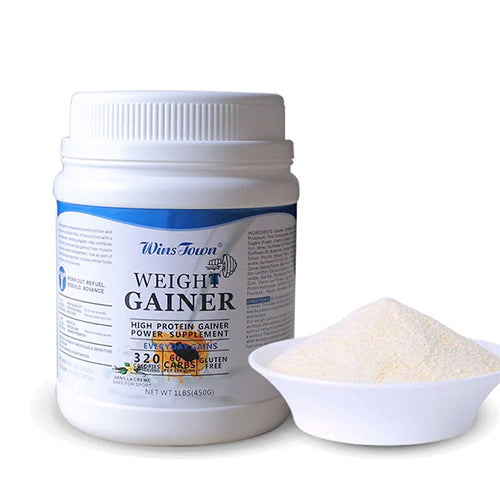 High Protein Power Weight Gainer Powder - 450g
